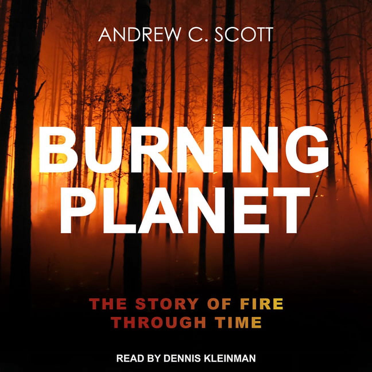 Burning Planet: The Story of Fire Through Time (Audiobook)