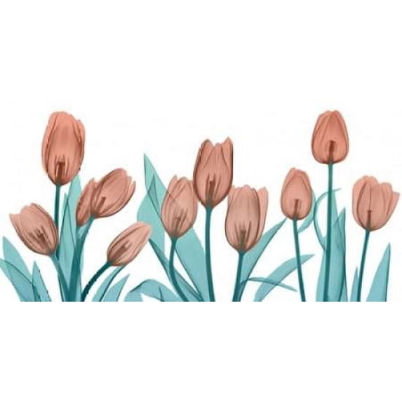 Burning Tulips Poster Print by Albert Koetsier (10 x 20)