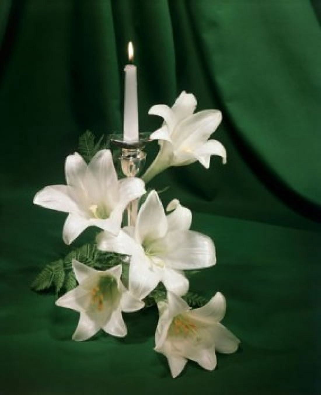 Burning candle near Easter Lily flowers Canvas Art - (18 x 24)