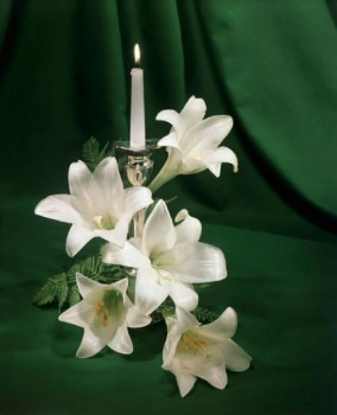 Burning candle near Easter Lily flowers Canvas Art - (24 x 36)