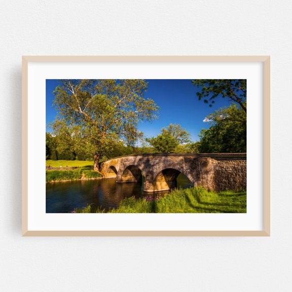 Burnside Bridge 02 - Maryland Photography Bridge Landscape Nature Scenic Rural Summer Architecture Oak Framed Wall Art Print 5 x 7 inches