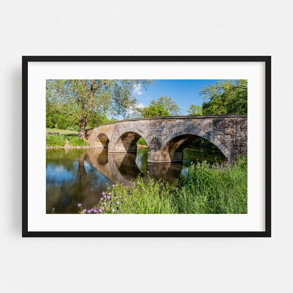 Burnside Bridge and Witness Tree - Sharpsburg Maryland Photography Bridge Landscape Nature Scenic Water Rural Flowers Black Framed Wall Art Print 12 x 18 inches
