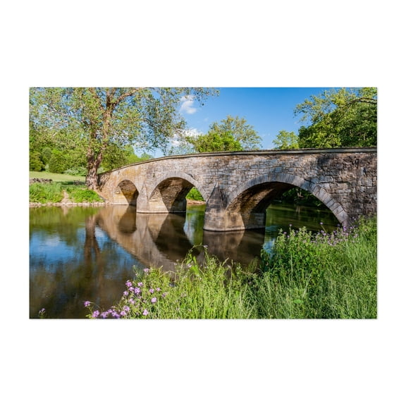 Burnside Bridge and Witness Tree - Sharpsburg Maryland Photography Bridge Landscape Nature Scenic Water Rural Flowers Unframed Wall Art Print 8 x 12 inches