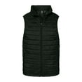thumbnail image 1 of Burnside Elemental Puffer Vest, 1 of 4