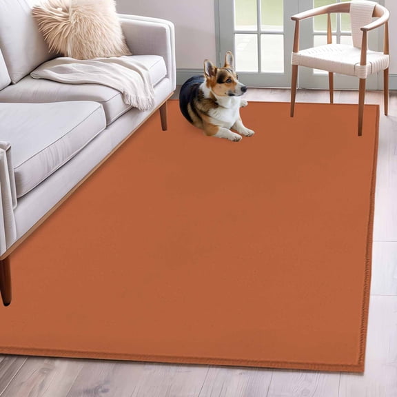 Burnt Orange 4'x6' Rug for Dining Table for 4 People Under Table, Modern Solid Color Washable Non Slip Rectangle Area Rug for Living Room Dining Room, Bathroom Accent, Entryway, Beside Bed