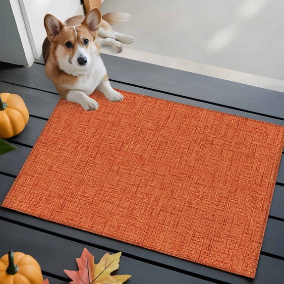 Burnt Orange Bathroom Mat 2x3 FT, Non Slip Small Kitchen Mat, Rustic Farmhouse Solid Color Fall Washable Soft Backed Front Door Throw Rug Non-Shedding Indoor Outdoor Doormat for Entryway Sink