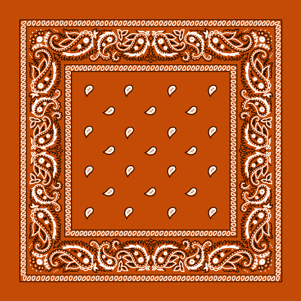 Burnt Orange Paisley Bandana - Single Piece 22x22 - Walmart.com