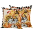 Burnt Orange Pumpkins Fall Waterproof Outdoor Pillow Covers 18''x18 ...