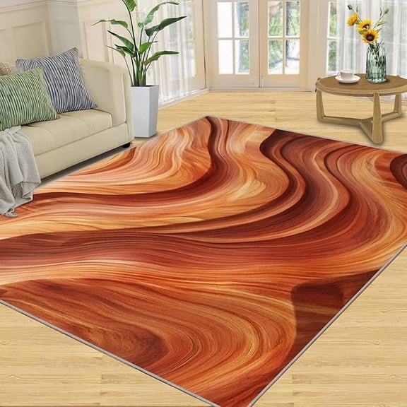 Burnt Orange Rug & Home Decor, Abstract Textured Rugs for Living Room Bedroom, Orange Carpet, Washable Non Slip Soft Low Pile Indoor Area Rug & Room Decor 5 x 7ft