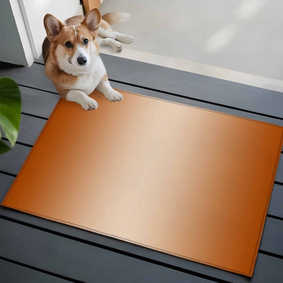 Burnt Orange Washable Area Rug 2x3 Ombre Solid Color Gradient Modern Art Low-Profile Area Rugs with Non Slip Backing Indoor Floor Carpet for Entrance Living Room Bedroom Home Office