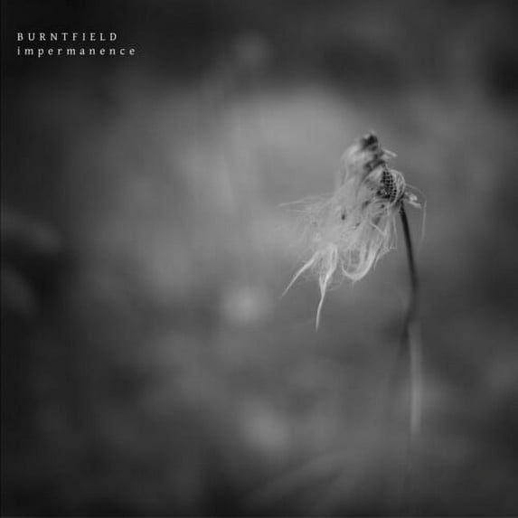 Burntfield - Impermanence - Rock - CD