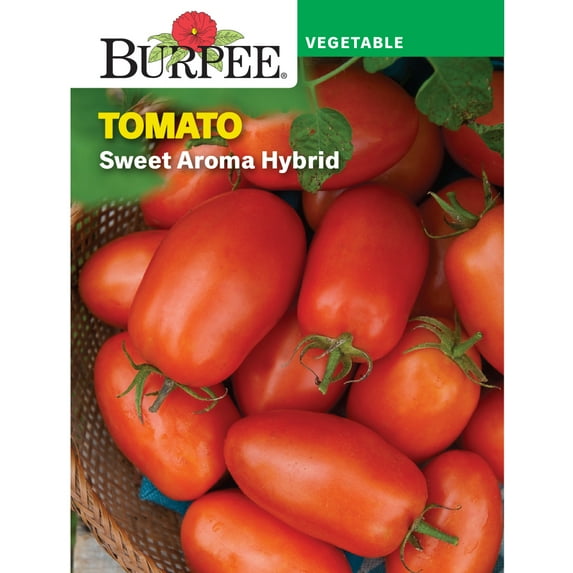Burpee 100 mg Sweet Aroma Hybrid Tomato Seed, Annual Vegetable, Full Sun