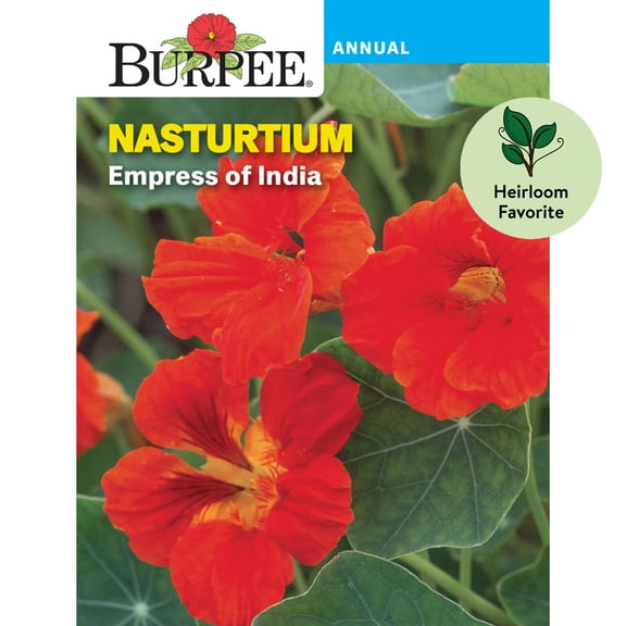 Burpee 3.7 gm Empress of India Nasturtium, Annual Flower Seed, Full Sun