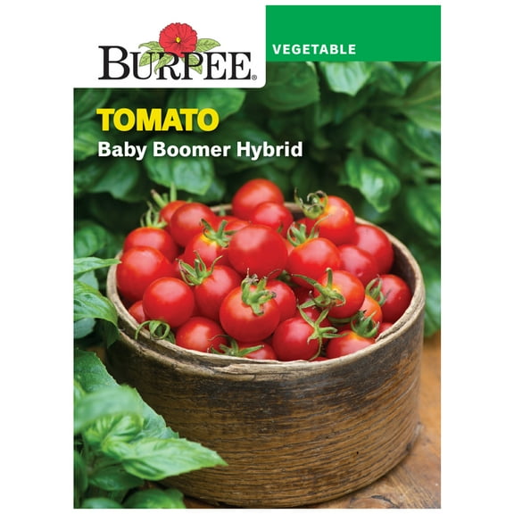 Burpee Baby Boomer Hybrid Cherry Tomato, Vegetable Seed, Annual Lifecycle, Full Sun