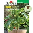thumbnail image 1 of Burpee Baby Bubba Hybrid Okra Vegetable Seed, 1-Pack, 1 of 6