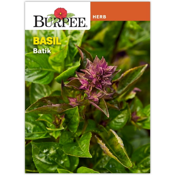 Burpee Batik Basil Annual Herb Seed, 1-Pack, Full Sun