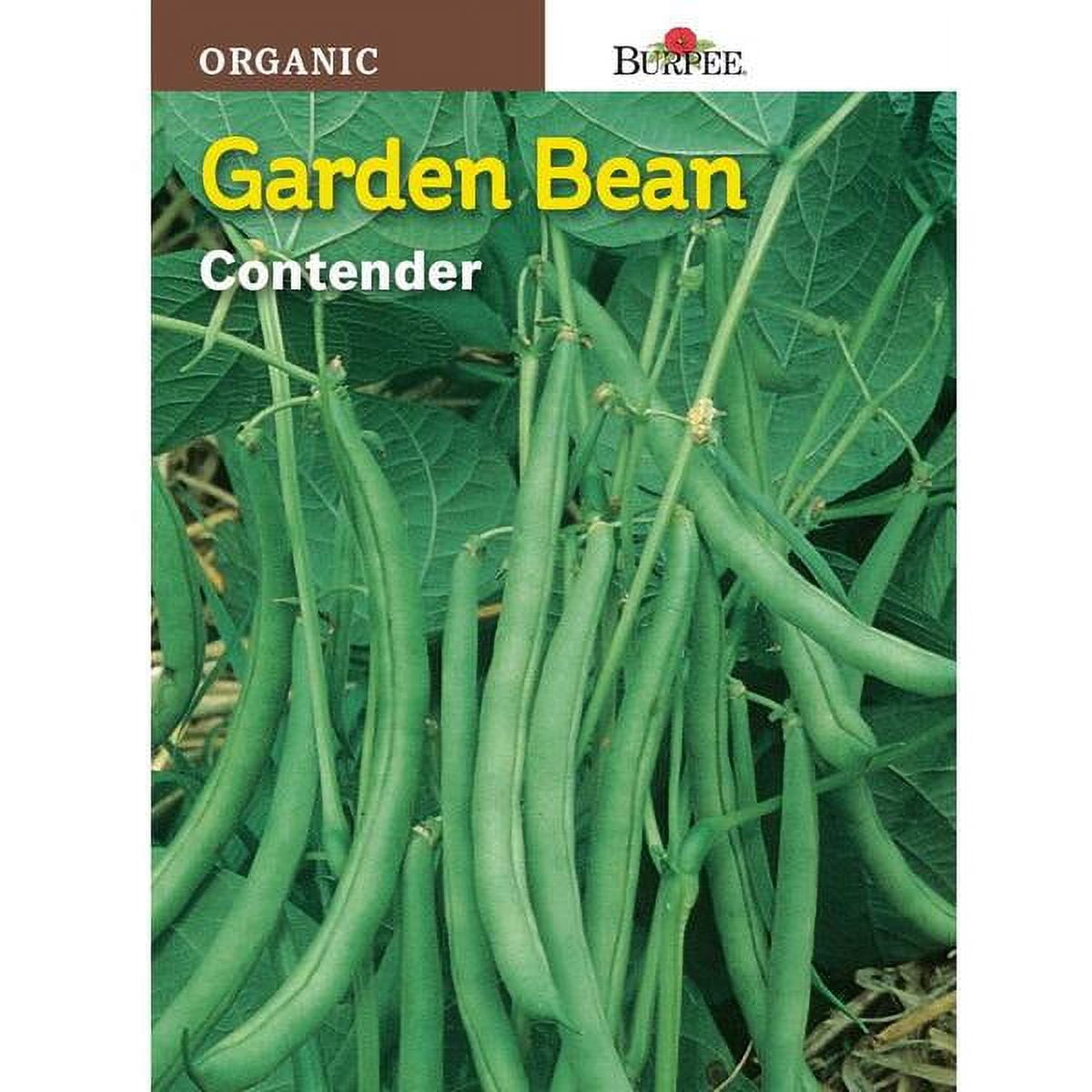 Burpee Bean Garden Contender Organic Seed 66967