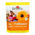 thumbnail image 1 of Burpee Bee Pollinator Wildflowers Mix, 1 of 7