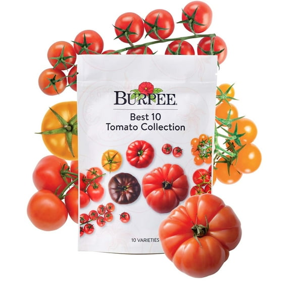 Burpee Best 10 Tomato Seed Collection, Annual Vegetable, Full Sun Lifecycle