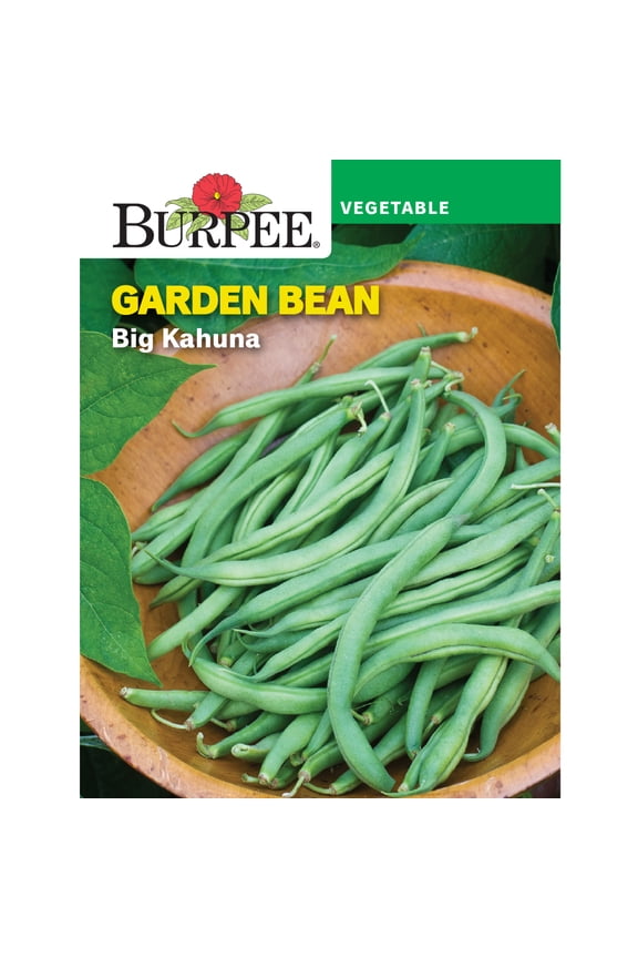 Big Kahuna Garden Bean Seeds - Non-GMO, Bush Bean, Vegetable Gardening Seeds, 18g, 1-Pack