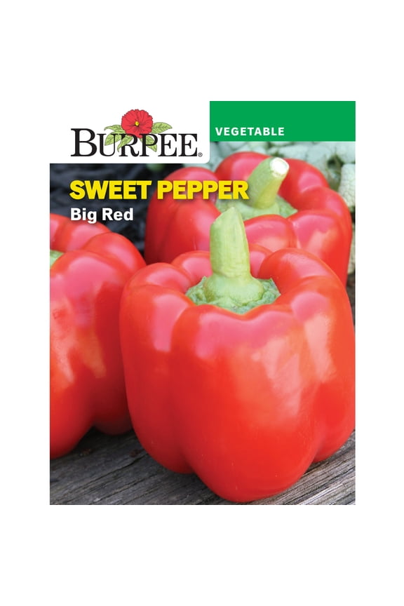 Big Red Sweet Pepper Vegetable Seed, 1-Pack