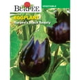 thumbnail image 1 of Burpee Black Beauty Eggplant Seed, Heirloom Vegetable, Full Sun, Annual Lifecycle, 1 of 4