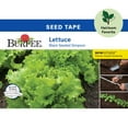 Burpee Black Seeded Simpson Lettuce Seed Tape NonGMO, Heirloom