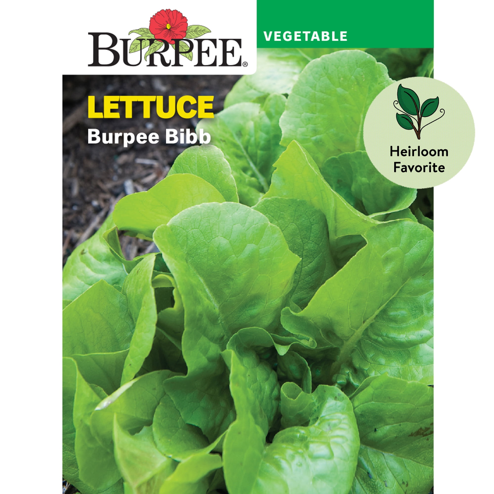 Burpee Burpee Bibb Lettuce Seeds NonGMO, Heirloom Vegetable