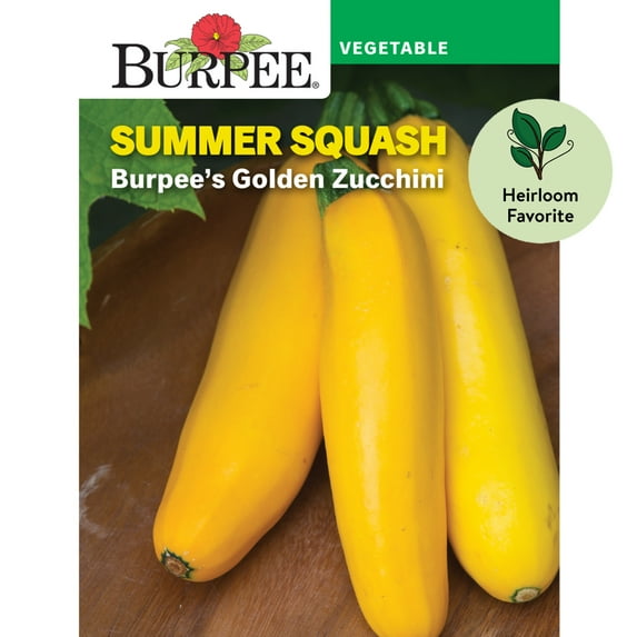 Burpee Burpee's Golden Zucchini Summer Squash Vegetable Seed, 1-Pack