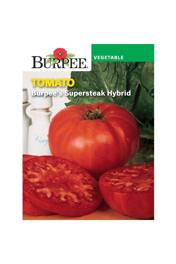 Supersteak Hybrid Tomato, Annual Vegetable Seed, Full Sun