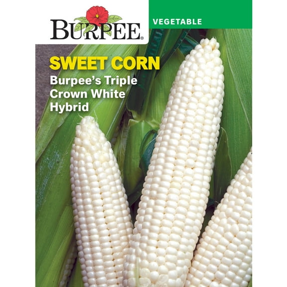Burpee's Triple Crown White Hybrid Sweet Corn Vegetable Seed, 1-Pack, Full Sun, Annual Lifecycle