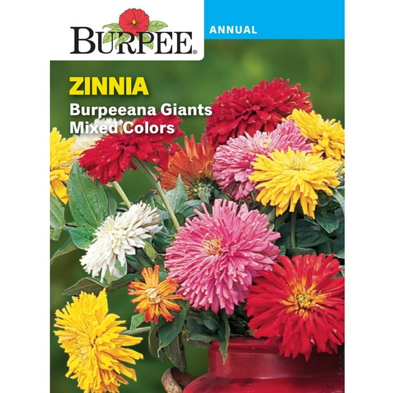 Burpee Burpeeana Giants Mixed Colors Zinnia Flower Seed, 1-Pack