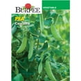thumbnail image 1 of Burpee Cascadia Pea Annual Vegetable Seed, 1-Pack, Full Sun, 1 of 5
