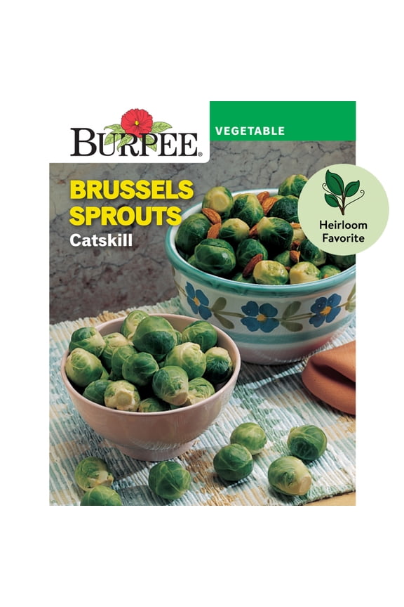 Catskill Brussels Sprouts Seeds - Non-GMO, Heirloom Vegetable Gardening Seeds, 180mg , 1-Pack
