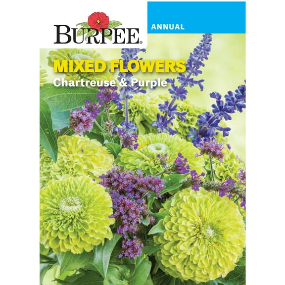 Burpee Chartreuse & Purple Mixed Flowers Flower Seed