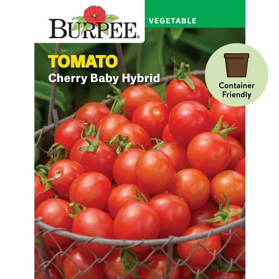 Burpee Cherry Baby Tomato Vegetable Seed, 1-pack