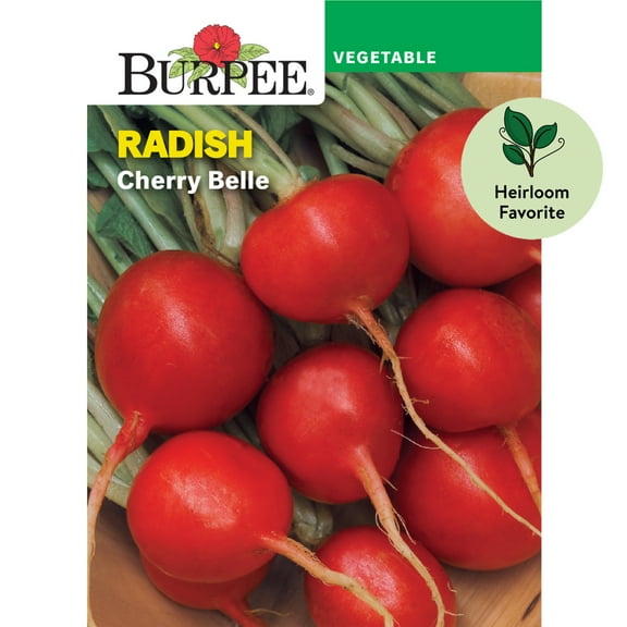 Burpee Cherry Belle Radish Seeds - Non-GMO, Heirloom Vegetable Gardening Seeds, 4g, 1-Pack