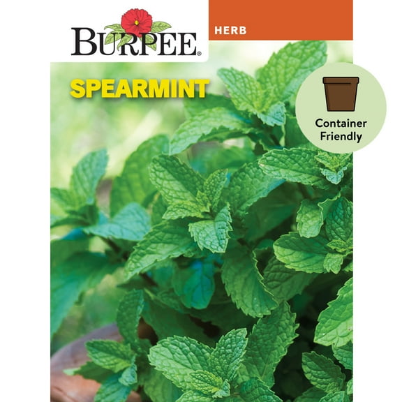 Burpee Common Spearmint Herb Seed, 1-Pack