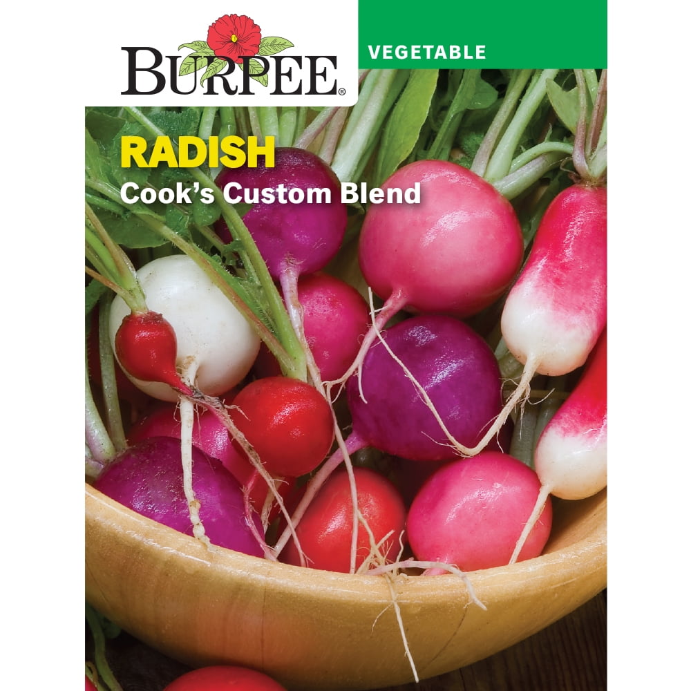 Burpee Cook's Custom Blend Radish Vegetable Seed, 1-Pack