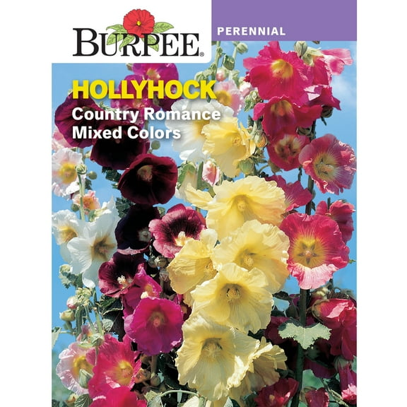 Burpee Country Romance Mixed Colors Hollyhock Flower Seed, 1-Pack, Perennial Flower