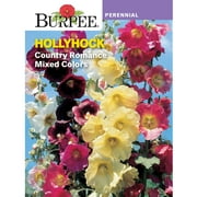 Burpee Country Romance Mixed Colors Hollyhock Flower Seed, 1-Pack