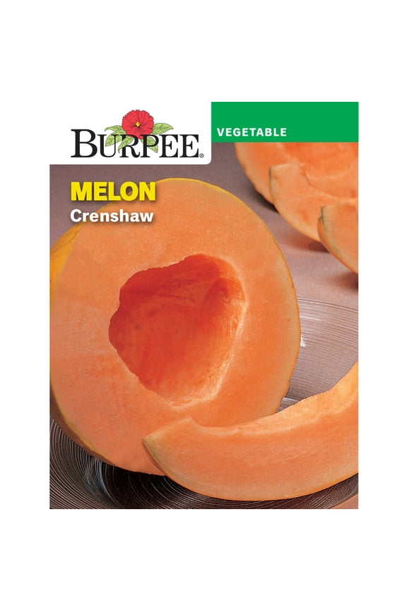 Crenshaw Melon Vegetable Seed, 1-Pack
