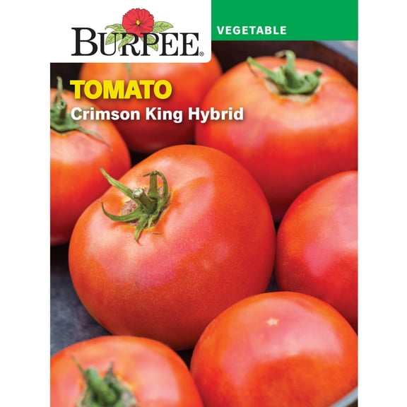 Burpee Crimson King Tomato Vegetable Seed, 1-Pack