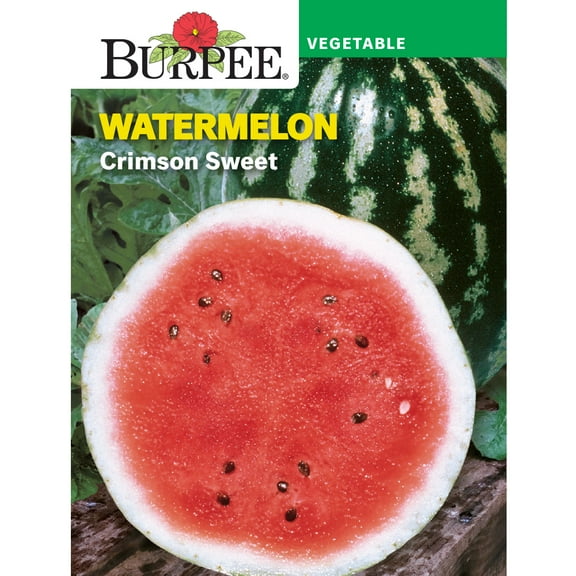 Burpee Crimson Sweet Watermelon Seed, Annual Lifecycle, Full Sun, Fruit Seed