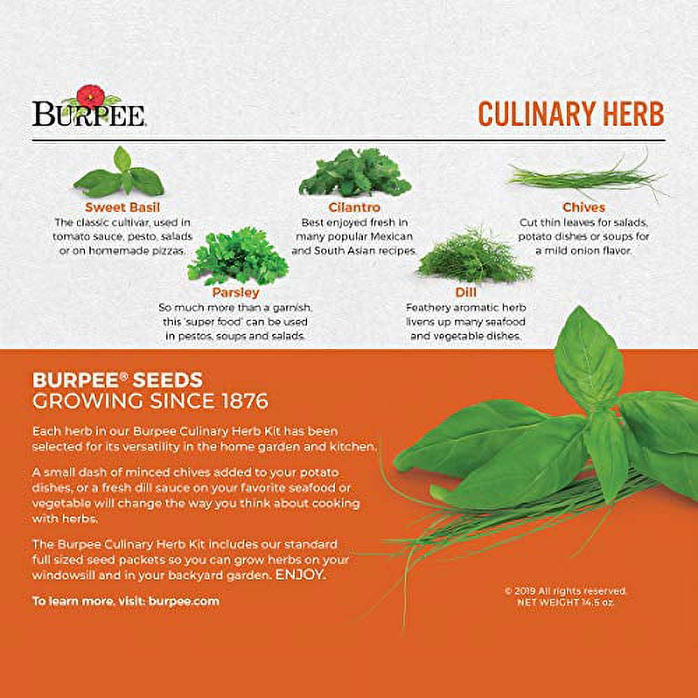 Non-GMO Culinary Herb Starter Kit with 5 Pots and Coir Pellets