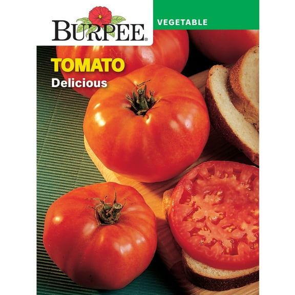 Burpee Delicious Tomato Vegetable Seed, 1-Pack