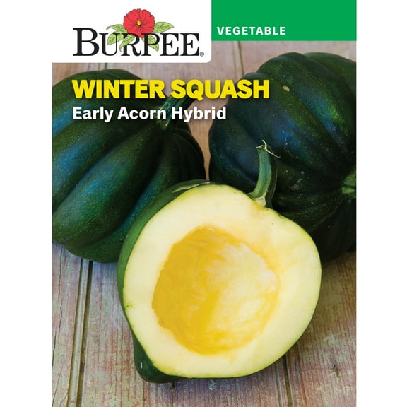 Burpee Early Acorn Hybrid Winter Squash Vegetable Seed, 1-Pack