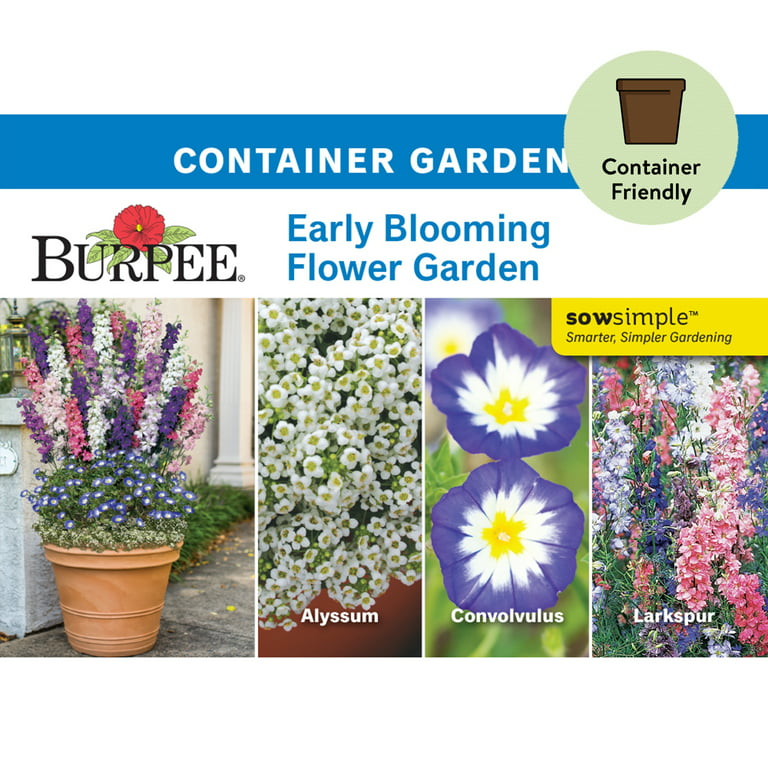 Burpee Early Blooming Flower Garden Starter Garden Flower Seed Collection,  1-Pack