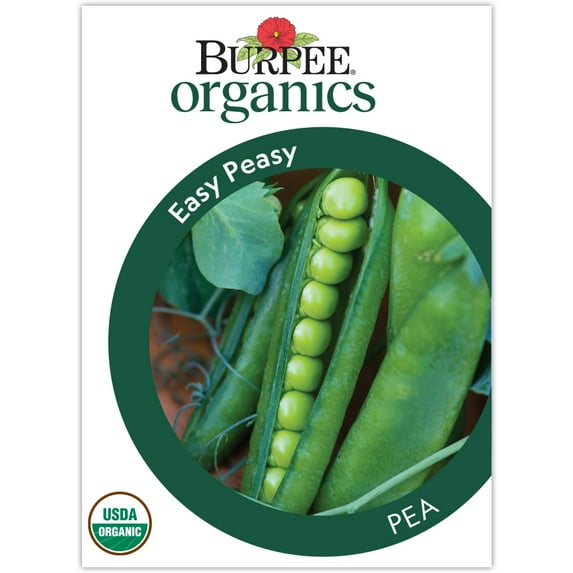 Burpee Easy Peasy Pea Vegetable Seed Annual Lifecycle 1 Pack