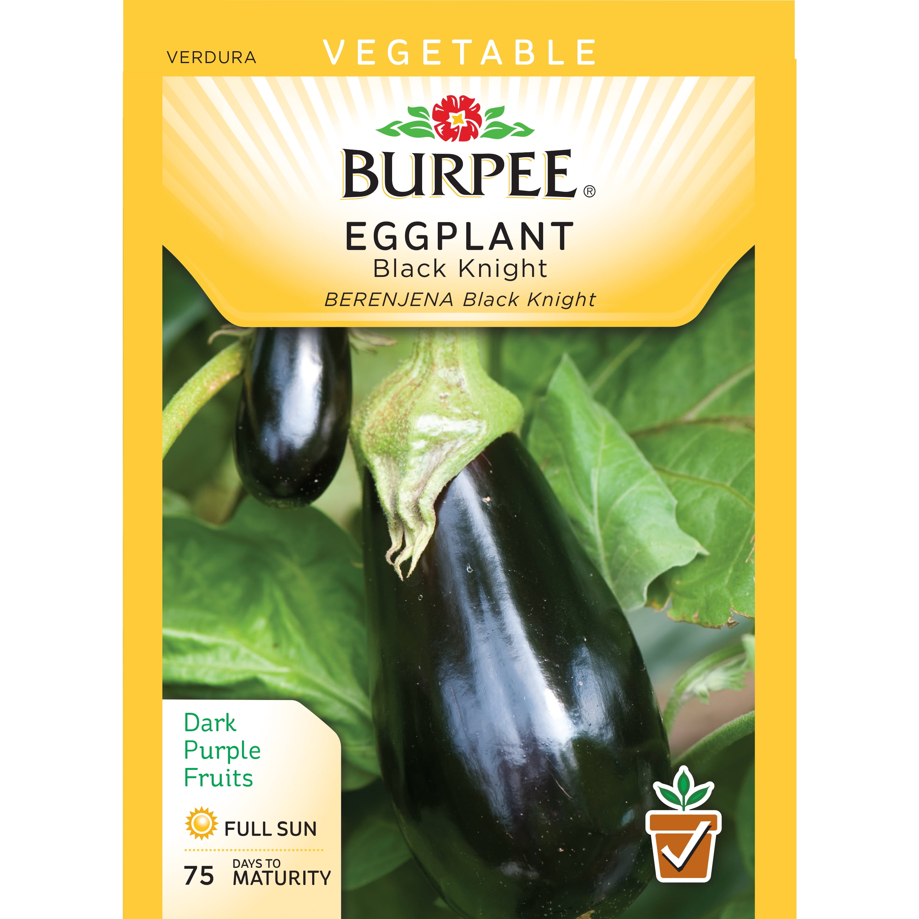 BurpeeEggplant, Black Knight Seed Packet